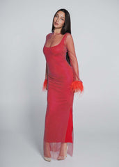 Bling Diva crystal and feather mesh dress