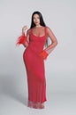 Bling Diva crystal and feather mesh dress