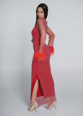 Bling Diva crystal and feather mesh dress