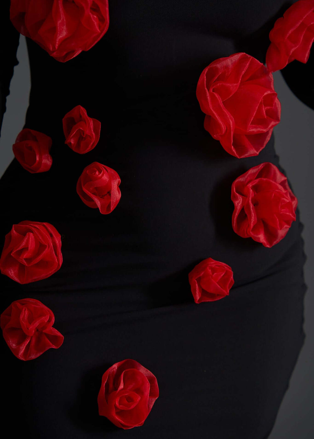 Rochie Midi Rose Affair neagră cu flori 3D Sia House Sia House pentru femei elegante